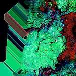 image: Image from the photoset ‘
damage (ccxii)
’.