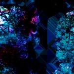 image: Image from the photoset ‘
damage (ccxiv)
’.