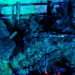 image: Image from the photoset ‘
damage (ccxv)
’.