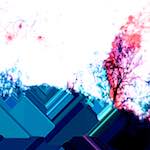 image: Image from the photoset ‘
damage (ccxviii)
’.