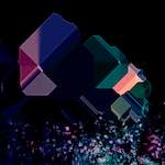 Fourth image from the photoset 'damage (ccxix)'.