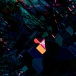 image: damage (ccxxi) photoset