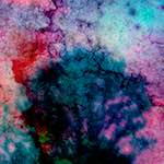 image: Image from the photoset ‘
damage (ccxxi)
’.