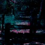 image: Image from the photoset ‘
damage (ccxxii)
’.