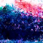 image: Image from the photoset ‘
damage (ccxxii)
’.