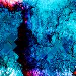 image: damage (ccxxii) photoset