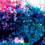 image: Image from the photoset ‘
damage (ccxxii)
’.