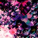 image: Image from the photoset ‘
damage (ccxxv)
’.