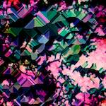 image: Image from the photoset ‘
damage (ccxxv)
’.