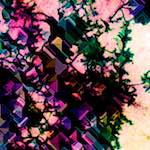 image: Image from the photoset ‘
damage (ccxxv)
’.