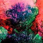 image: Image from the photoset ‘
damage (ccxxvi)
’.