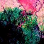 image: Image from the photoset ‘
damage (ccxxvi)
’.