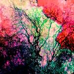 image: Image from the photoset ‘
damage (ccxxvi)
’.