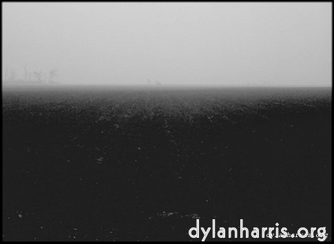 Image 'holme fen 1'.