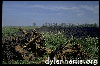 Image 'holme fen 2'.