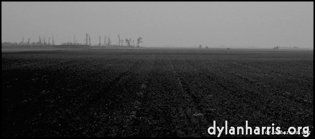 Image 'holme fen 3'.