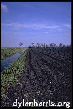 Image 'holme fen 4'.