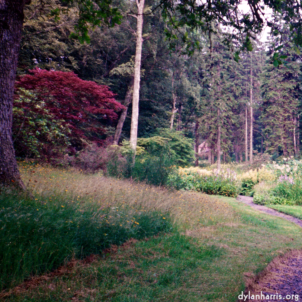 image: This is ‘
thames poly (vi) 1
’.