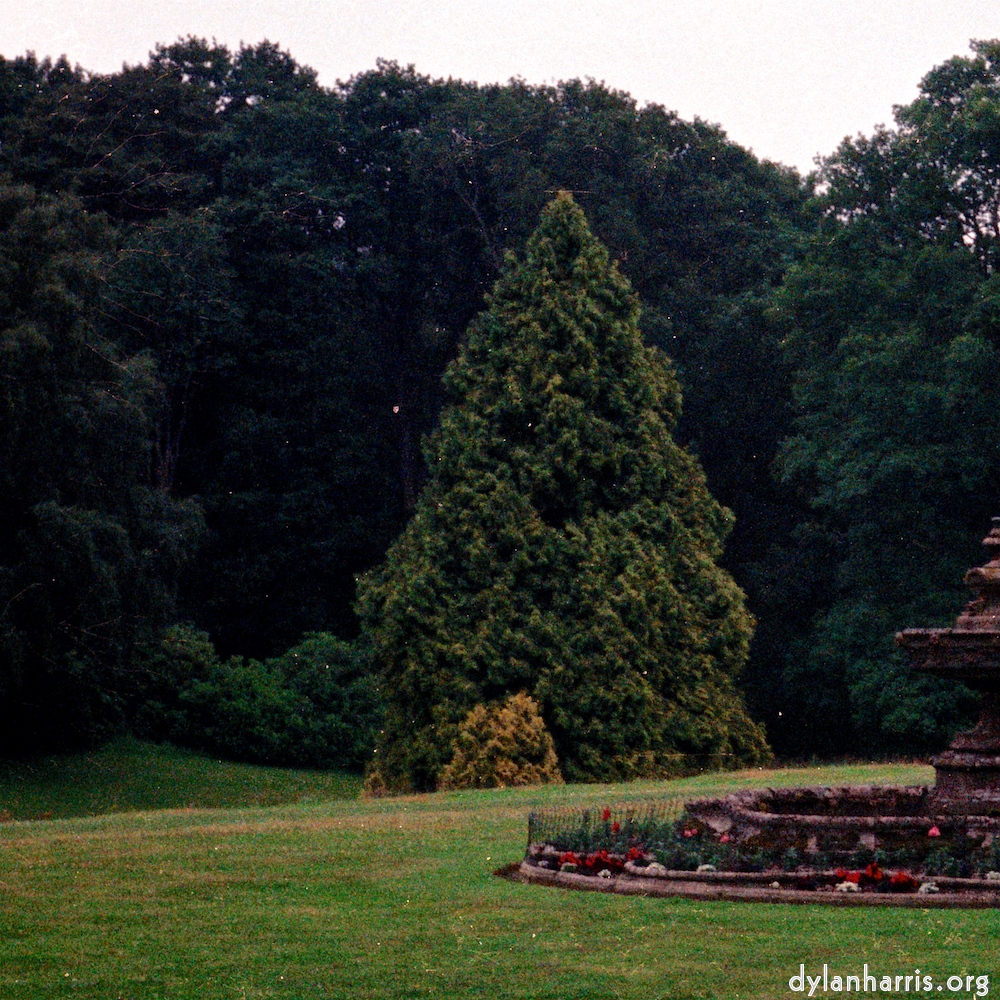 image: This is ‘
thames poly (vi) 2
’.