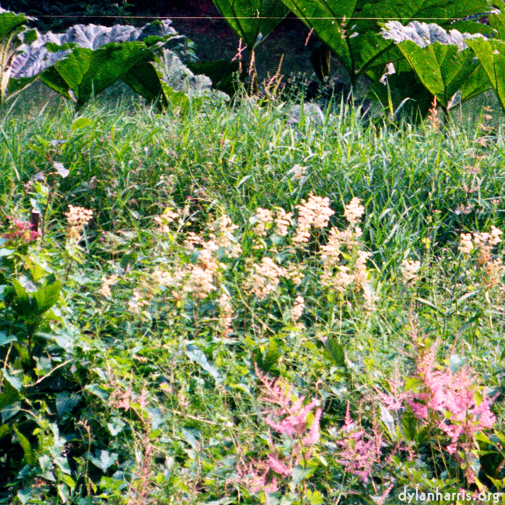 Image: Image 'thames poly (vi) 3'.