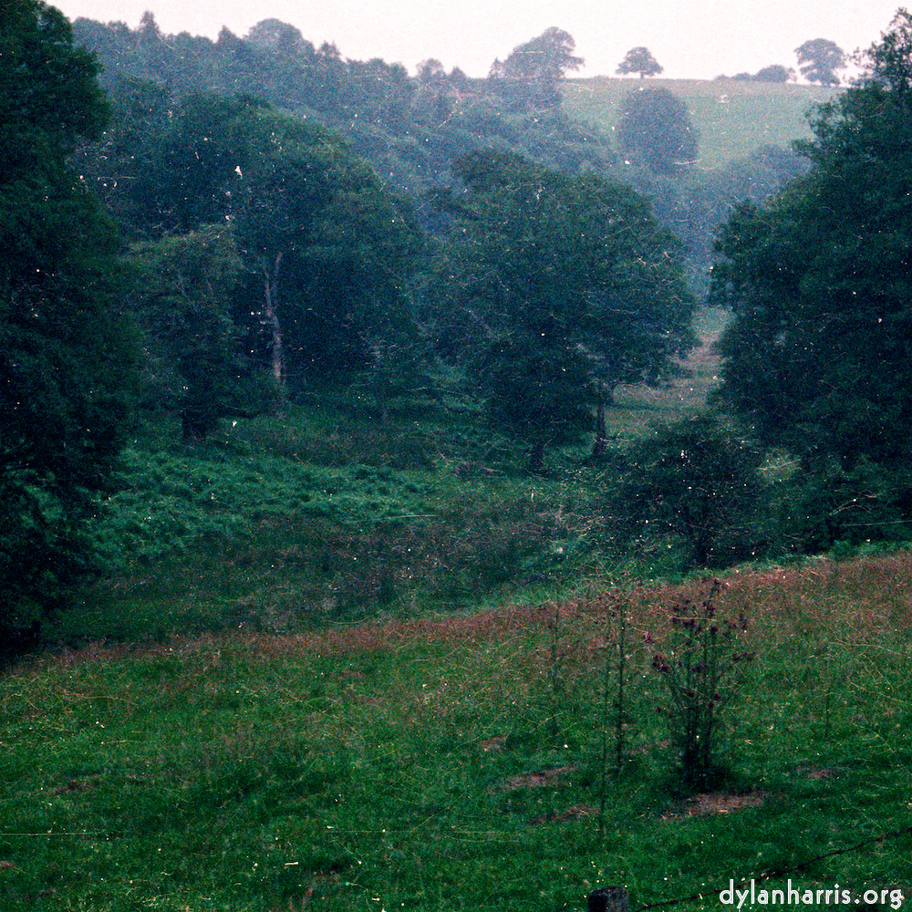 image: This is ‘
thames poly (vi) 9
’.