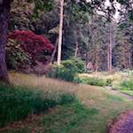 image: Image from the photoset ‘
thames poly (vi)
’.