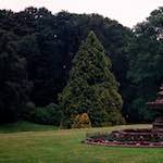 image: Image from the photoset ‘
thames poly (vi)
’.