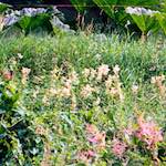 image: Image from the photoset ‘
thames poly (vi)
’.