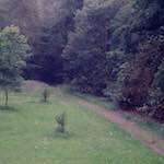 image: Image from the photoset ‘
thames poly (vi)
’.