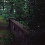 image: Image from the photoset ‘
thames poly (vi)
’.