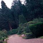 image: Image from the photoset ‘
thames poly (vi)
’.