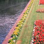 Image: Second image from the photoset 'river beds.'.