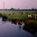 Image: Sixth image from the photoset 'river beds.'.