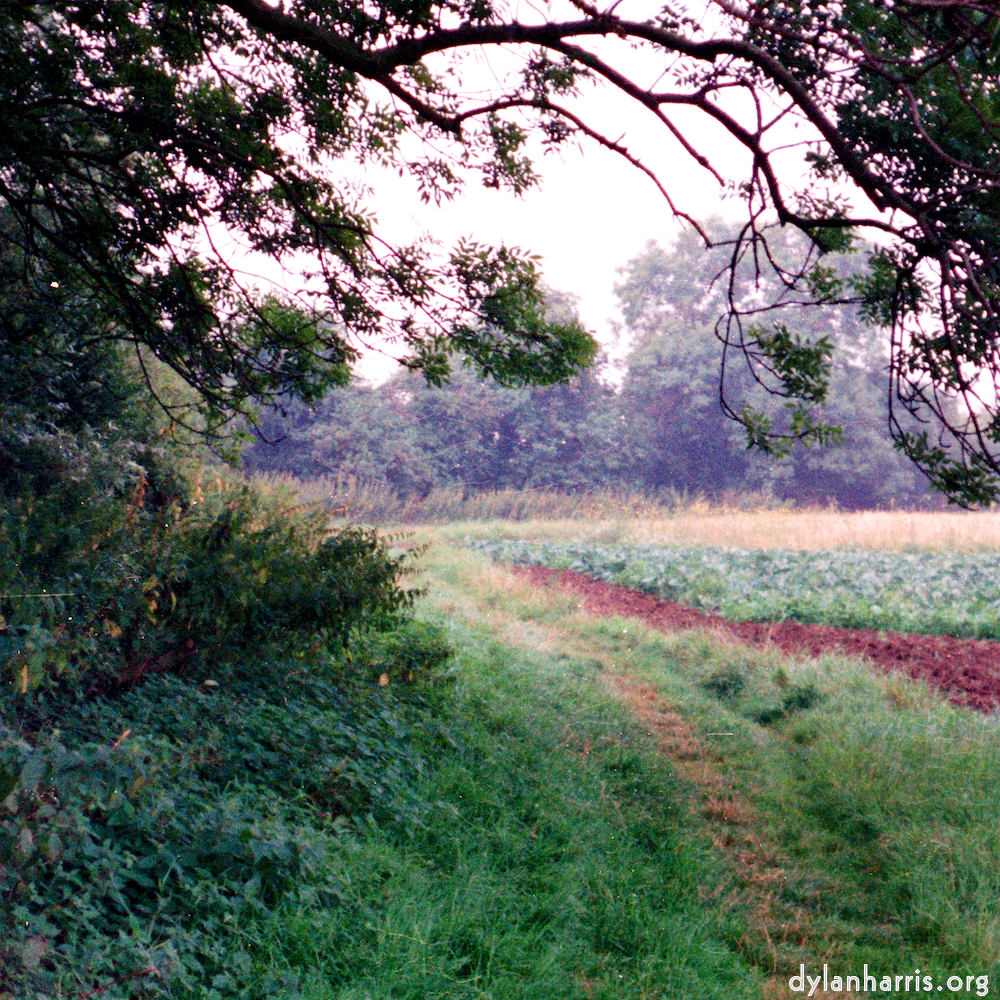 Image 'tempsford (ii) 1'.