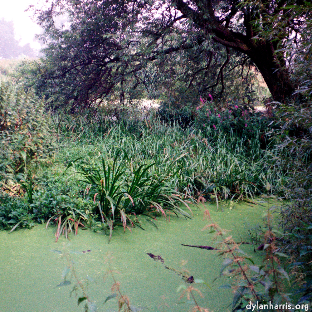 Image 'tempsford (ii) 3'.