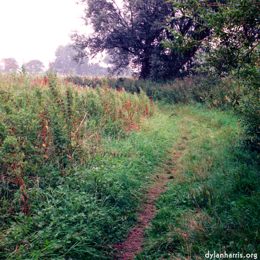 Image 'tempsford (ii) 8'.