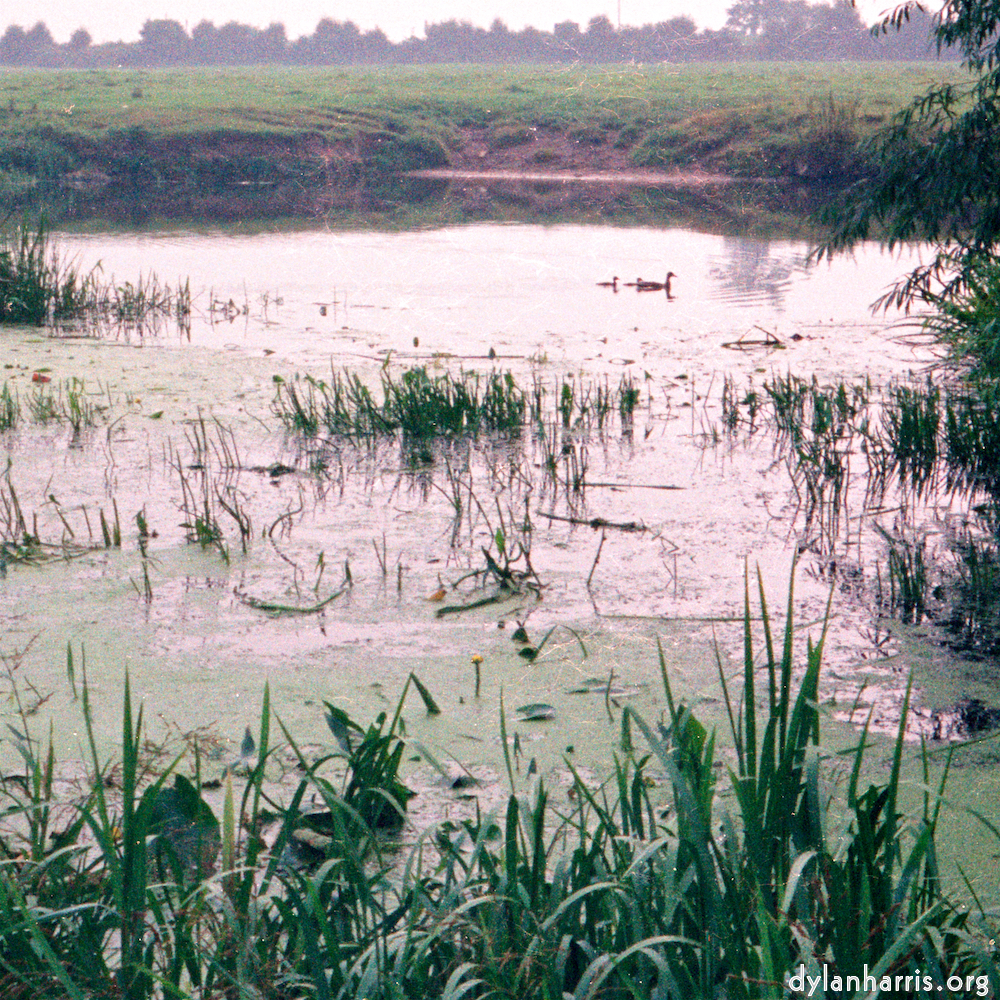 Image: Image 'tempsford (ii) 9'.