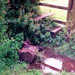 Image: Second image from the photoset 'tempsford (ii)'.