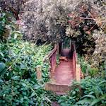 Image: Fifth image from the photoset 'tempsford (ii)'.