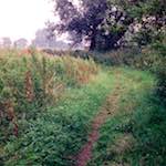 Image: Eighth image from the photoset 'tempsford (ii)'.