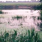 Image: Ninth image from the photoset 'tempsford (ii)'.