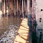 Image: Third image from the photoset 'woolwich (iv)'.