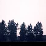 Image: Fourth image from the photoset 'woolwich (iv)'.