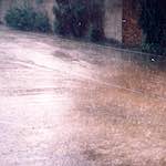 Image: Fifth image from the photoset 'woolwich (iv)'.