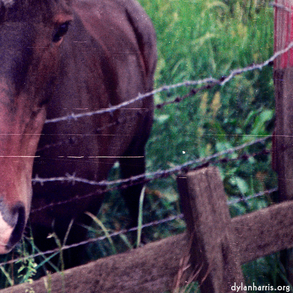 image: This is ‘
untitled (xxvi) 2
’.