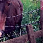 image: Image from the photoset ‘
untitled (xxvi)
’.