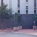 image: Image from the photoset ‘
untitled (xxvi)
’.