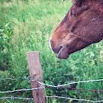 image: Image from the photoset ‘
untitled (xxvi)
’.