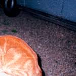 image: Image from the photoset ‘
untitled (xxvi)
’.