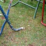 Image: Fifth image from the photoset 'thames poly (vii)'.